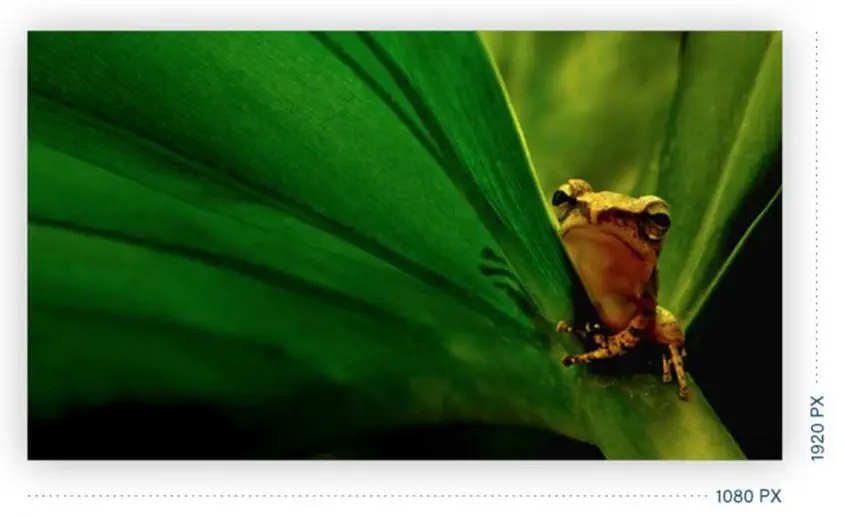 AOC 24B2XDA 23.8″ IPS Full HD Monitör