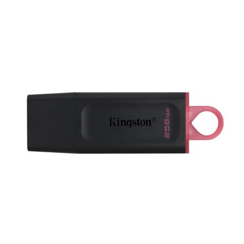 Kingston Data Traveler Exodia DTX/256GB Flash Bellek