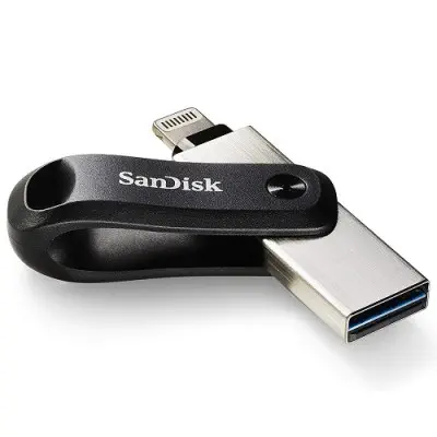 Sandisk iXpand Go SDIX60N-256G-GN6NE Flash Bellek