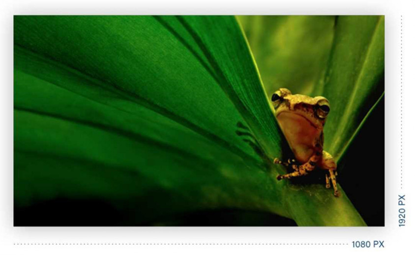 AOC 22B2AM 21.5″ VA Full HD Monitör