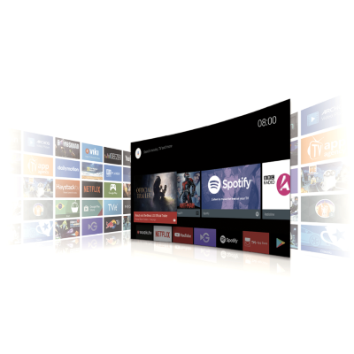 TCL 65P615 65″ 165 Ekran TV