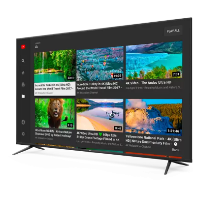TCL 65P615 65″ 165 Ekran TV