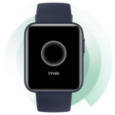 Xiaomi Mi Watch Lite Siyah Akıllı Saat
