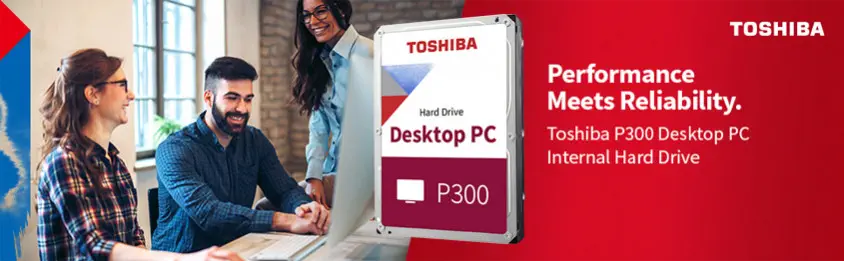 Toshiba P300 HDWD220UZSVA 2TB 3.5” SATA 3 Harddisk