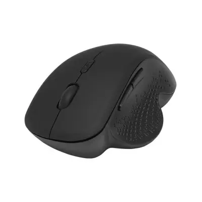 Frisby FM-G272WM Kablosuz Siyah Mouse