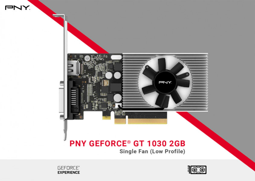 PNY GeForce GT 1030 2GB Low Profile VCG10302D4SFPPB Ekran Kart