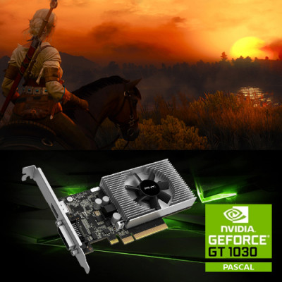 PNY GeForce GT 1030 2GB Low Profile VCG10302D4SFPPB Ekran Kartı