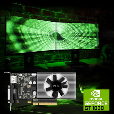 PNY GeForce GT 1030 2GB Low Profile VCG10302D4SFPPB Ekran Kartı