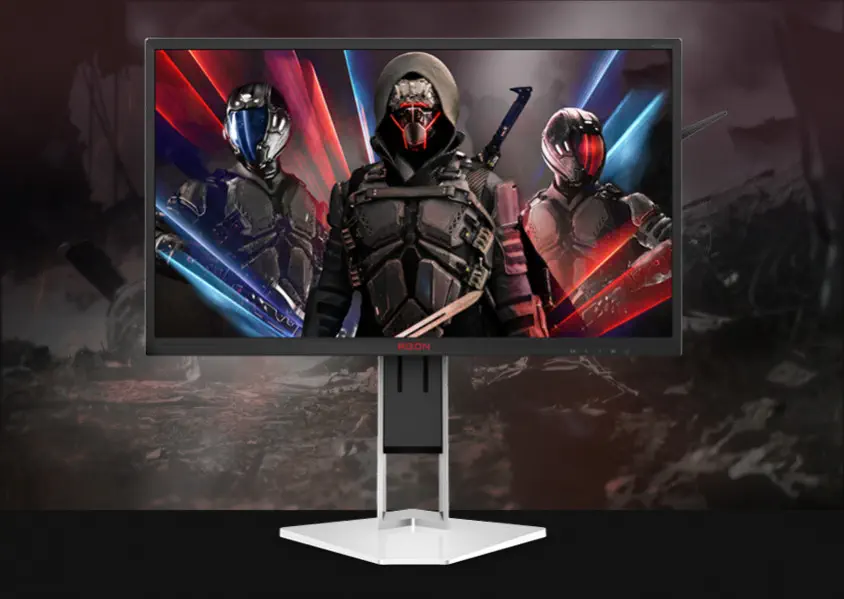 AGON PRO AG251FZ2E Gaming (Oyuncu) Monitör