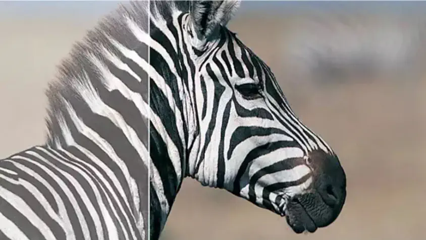 Philips 271V8L/00 27″ Full HD Monitör