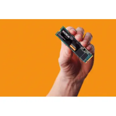 Kioxia Exceria G2 LRC20Z001TG8 1TB SSD Disk