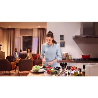Philips Hue Iris Gen4 EU/UK SE Silver