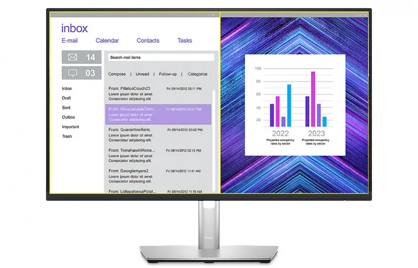 Dell P2423D 23.8″ IPS QHD Monitör