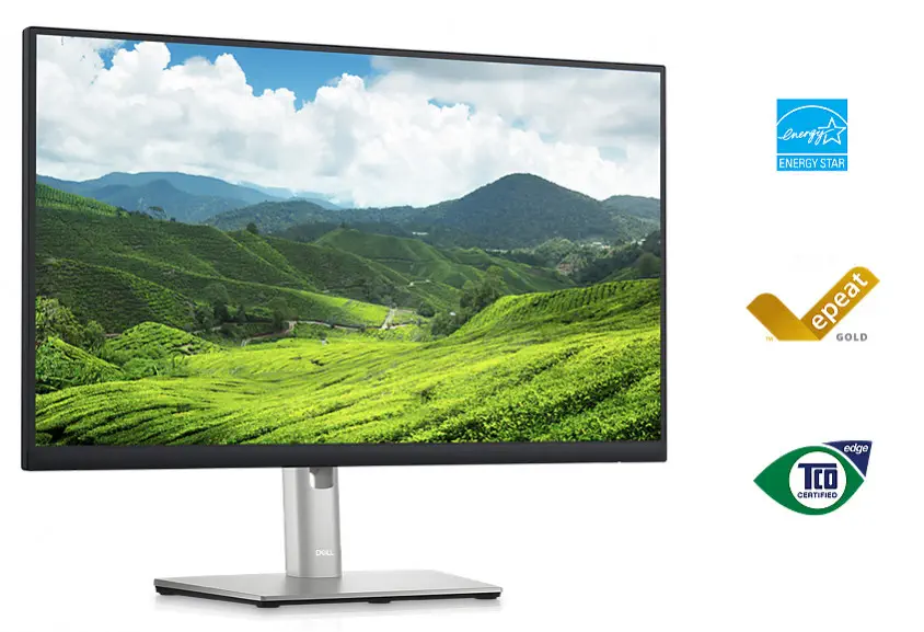 Dell P2423D 23.8″ IPS QHD Monitör