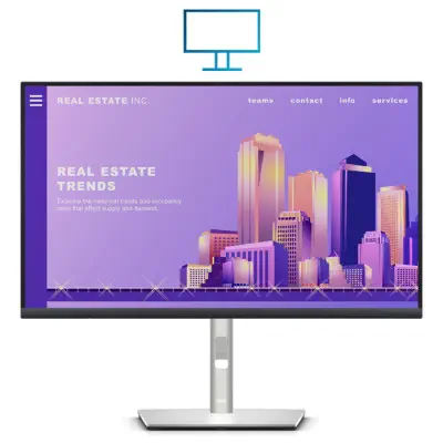 Dell P2422H 23.8″ IPS Full HD Monitör