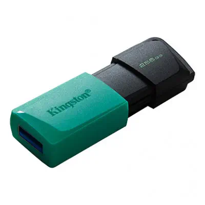 Kingston DataTraveler Exodia M DTXM/256GB USB Bellek