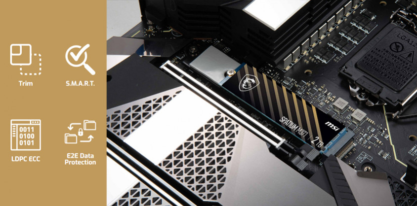 MSI Spatium M371 500GB PCIe NVMe M.2 SSD Disk