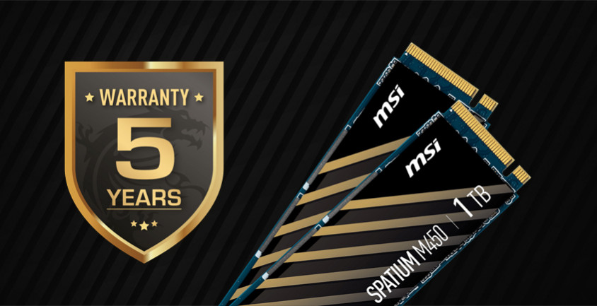 MSI Spatium M450 1TB PCIe NVMe M.2 SSD Disk