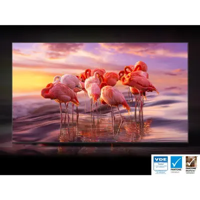 Samsung 55Q80B 55″ QLED TV