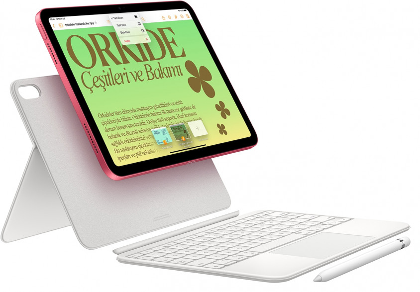 Apple iPad 10. Nesil 10.9″ Wİ-Fİ 64GB Gümüş MPQ03TU/A  Tablet 