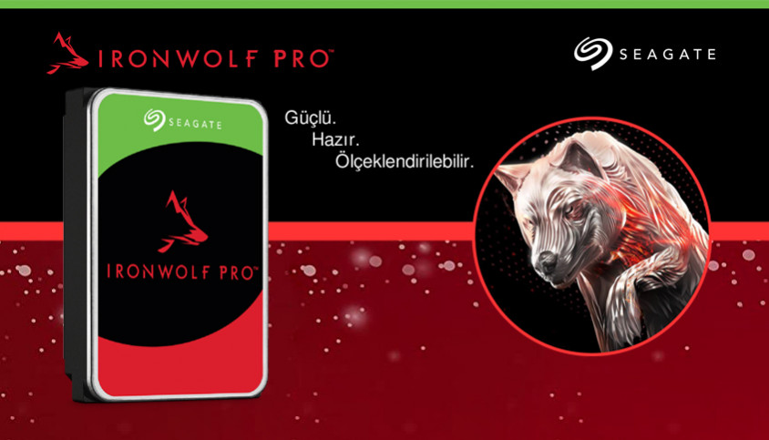 Seagate IronWolf Pro ST10000NE000 10TB 3.5” SATA 3 NAS Harddisk