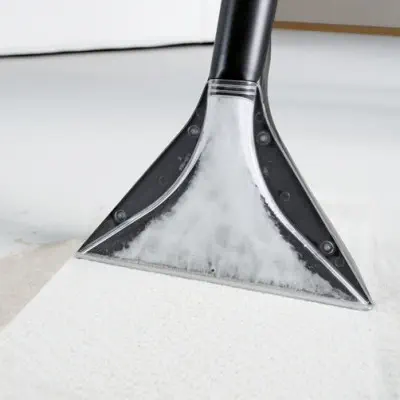 Karcher SE 4001 Plus Limited Edition Halı Yıkama Makinesi