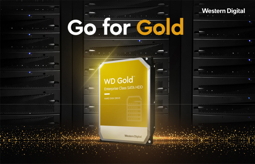 Wd Gold™ - Disque Dur Interne - 16to - 7200 Tr/min - 3.5 (wd161kryz) à Prix  Carrefour