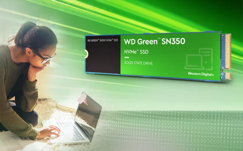 WD Green SN350 WDS100T3G0C 1TB PCIe NVMe M.2 SSD Disk