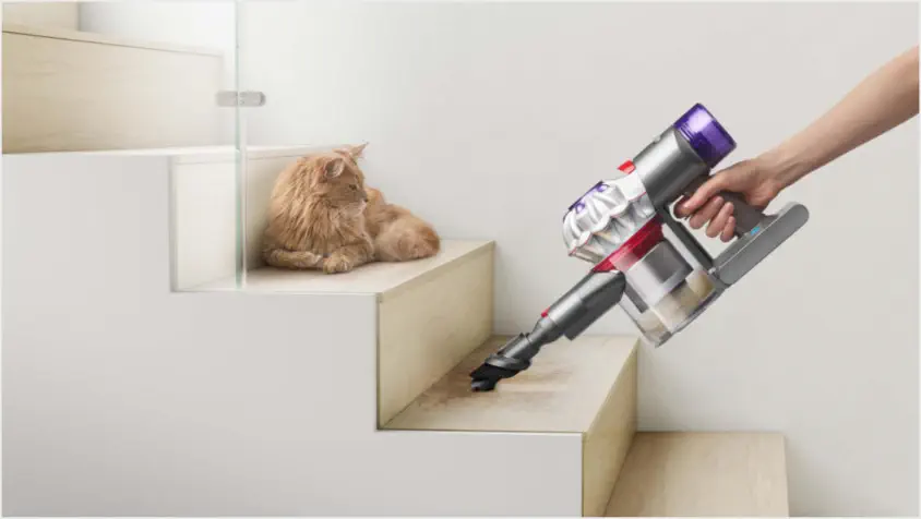 Dyson V8 Absolute Şarjlı Kablosuz Süpürge