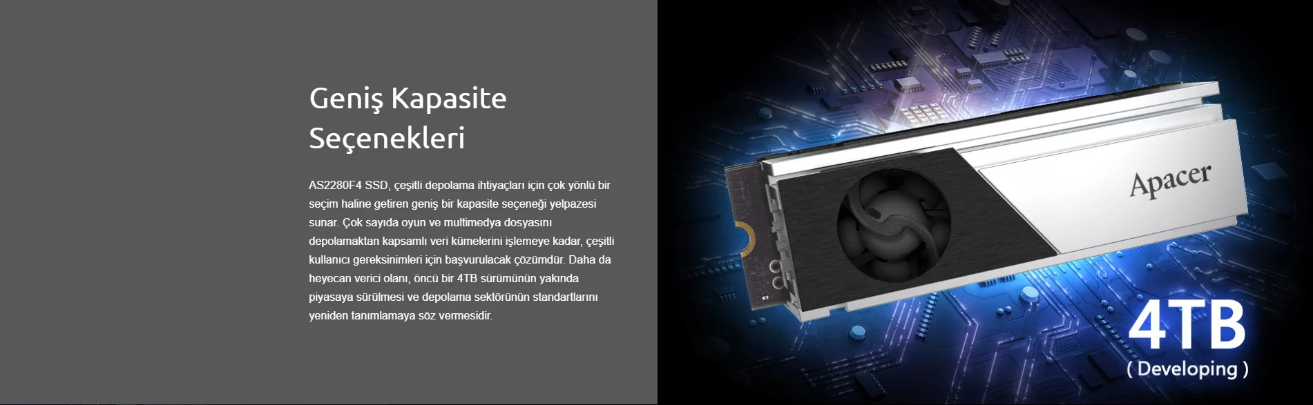 Apacer AP1TBAS2280F4-1 1TB M.2 PCIe Gen5 x4 SSD