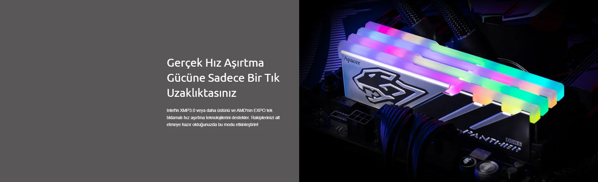 Apacer Panther RGB 16GB (1x16GB) 6000MHz DDR5 Ram (AH5U16G60C5129BAA-1)