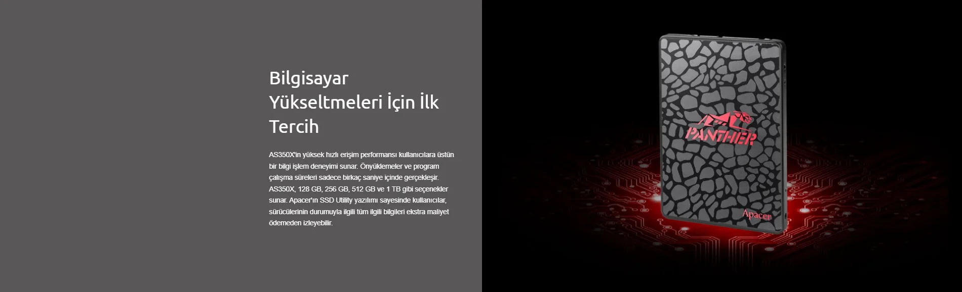 Apacer AS350 Panther AP1TBAS350-1 1TB SATA 3 SSD Disk