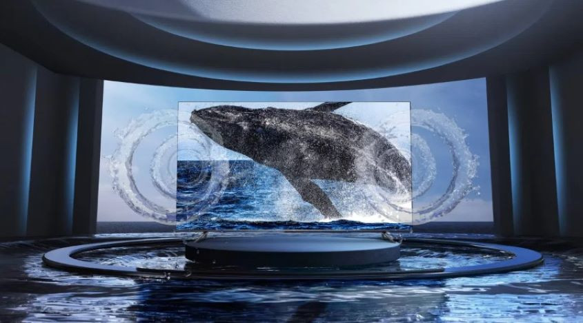 TCL 50P735  55″ Google TV