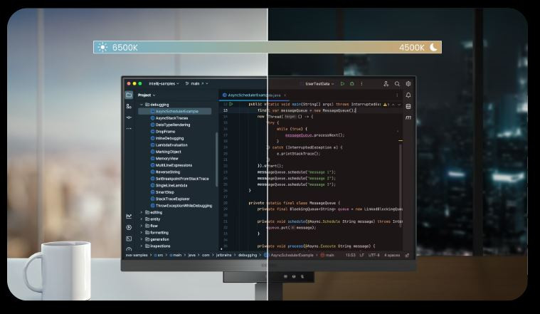 BenQ RD240Q 24.1″ 60Hz 5Ms WQXGA IPS  Monitör