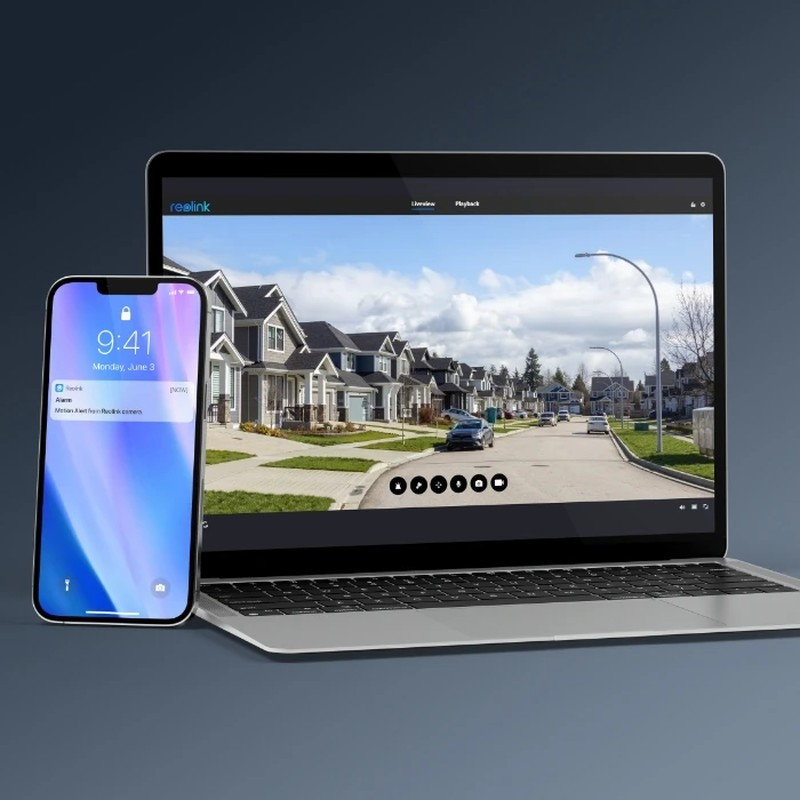 REOLINK P850