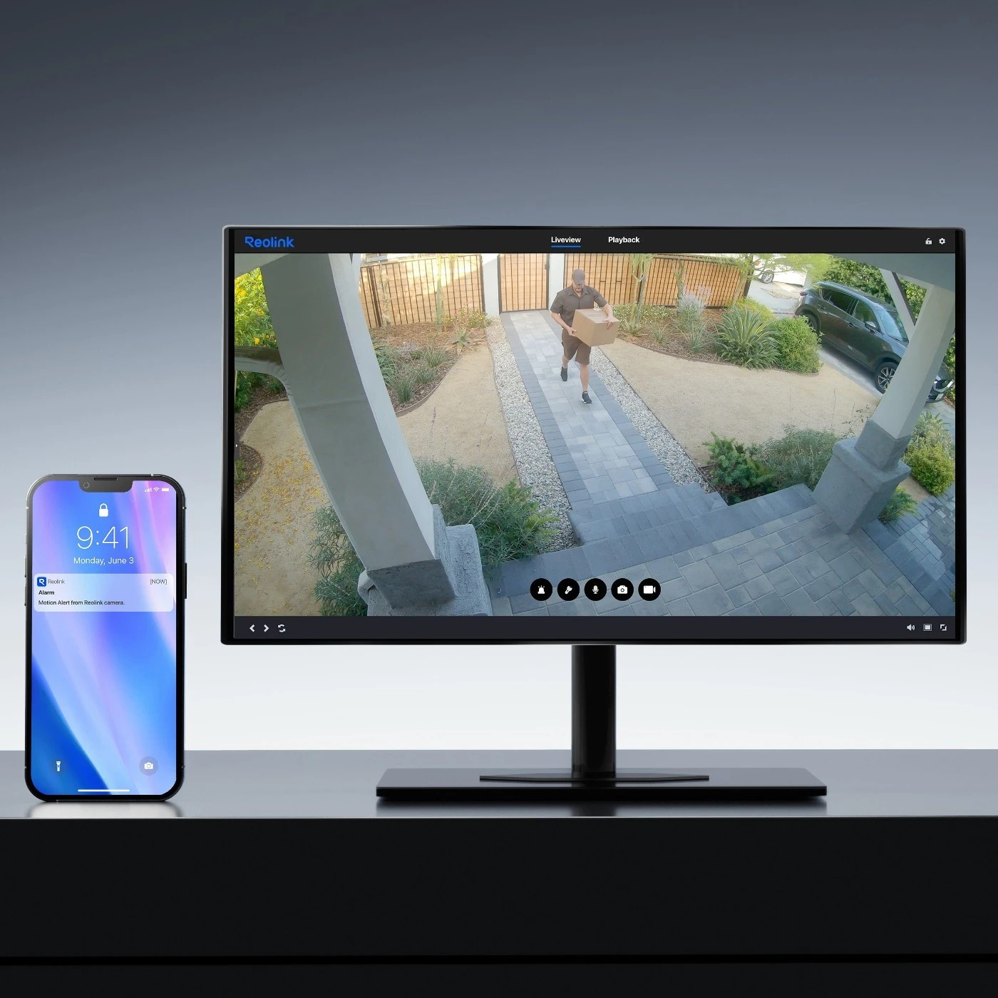 REOLINK P344 