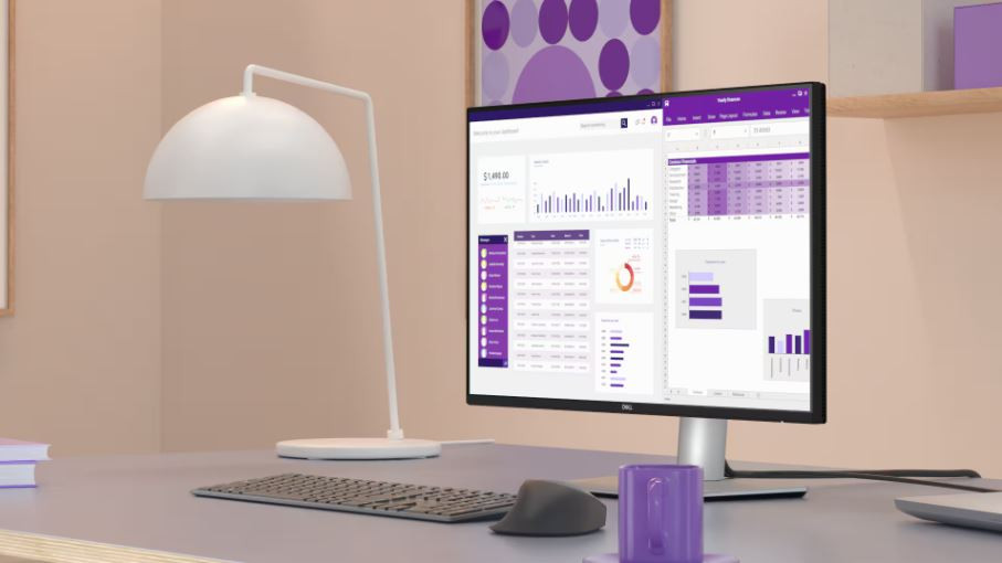 Dell Pro Plus P2425D 23.8″ 100Hz 5Ms HDMI DP WQHD IPS Monitör