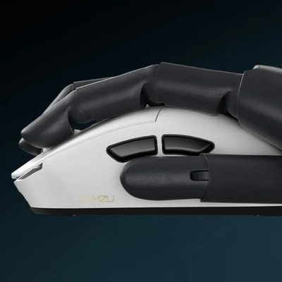 Lamzu PARO AURORA Wireless Mouse Siyah