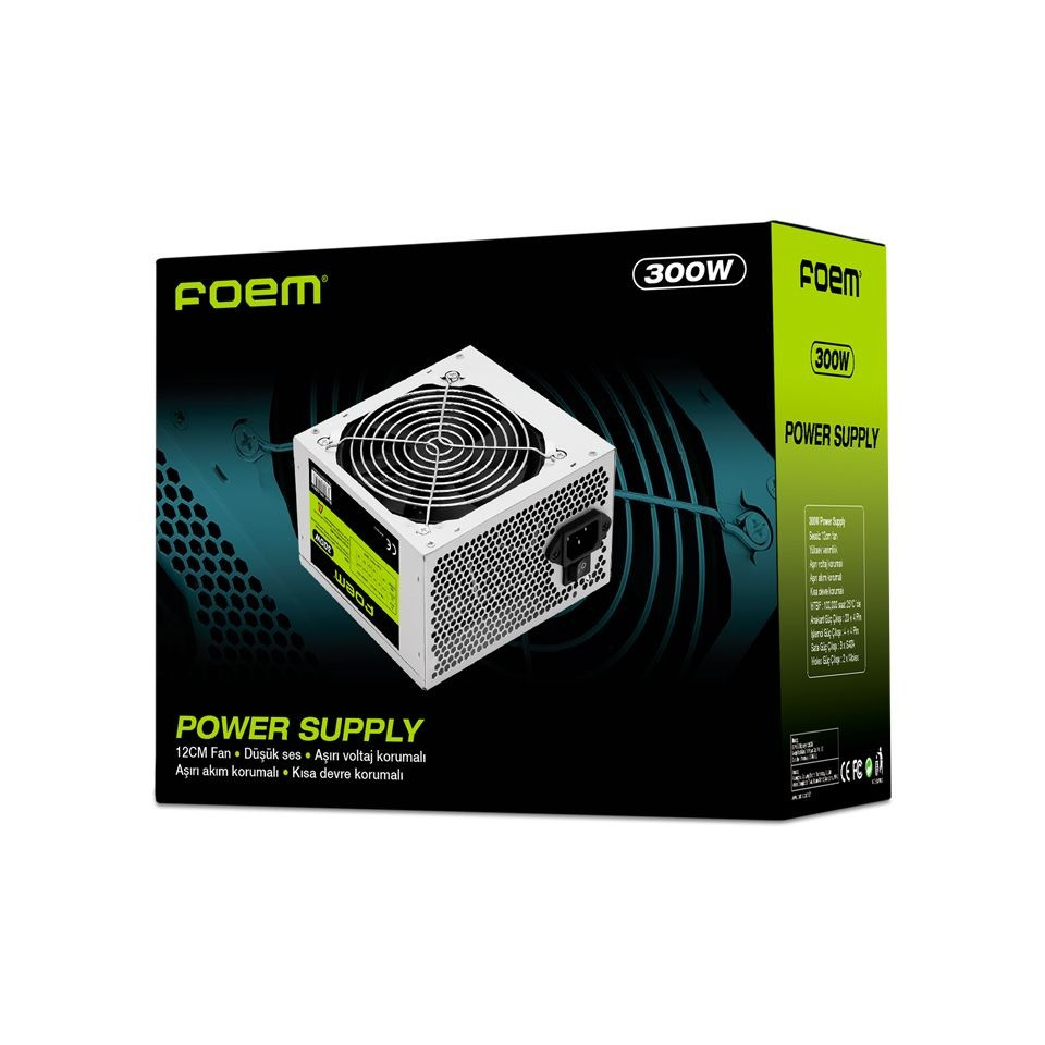 Frisby FPS-G30F12 300W Power Supply