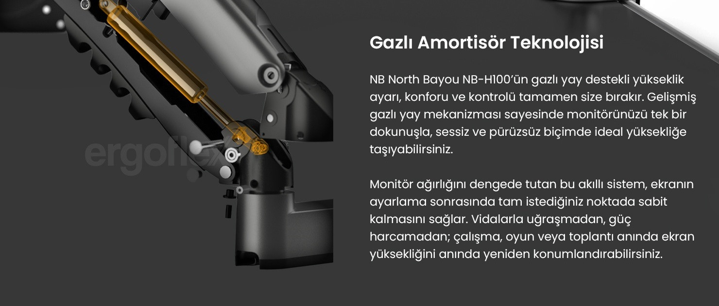 North Bayou NB H100 17″-32″ Amortisörlü Monitör Standı