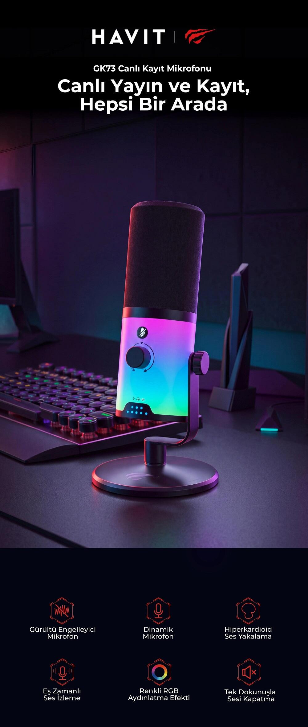 Havit Gamenote GK73 RGB Dinamik Oyuncu Mikrofonu - Type-C XLR 3.5mm Yayıncı Kayıt Mikrofonu (24 Bit / 192 kHz)