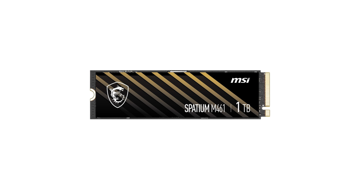 MSI Spatium M461 NVMe M.2 1000 GB SSD