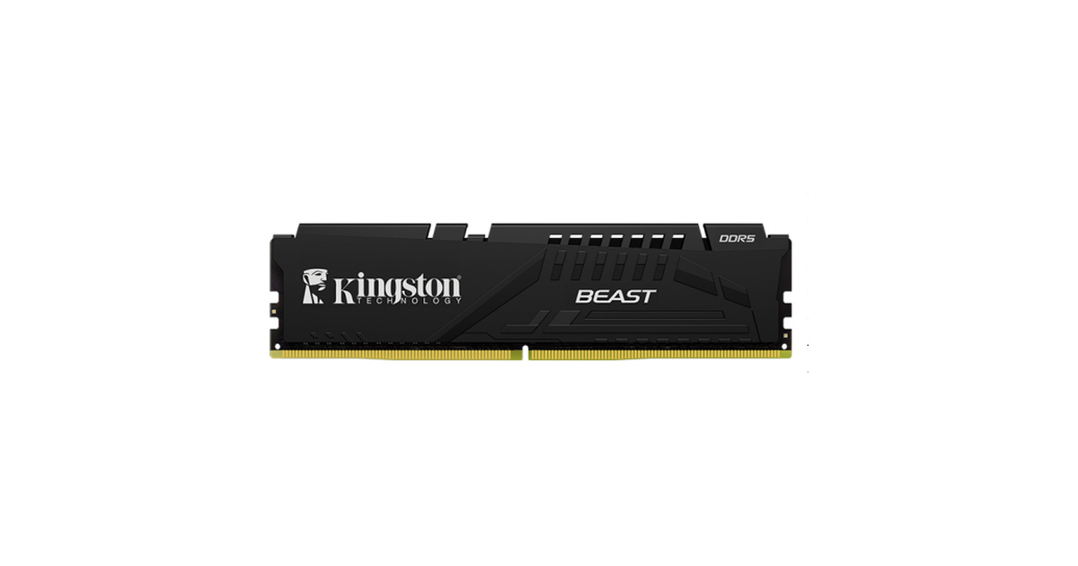 Kingston 16GB Beast Black 6000Mhz CL36 DDR5 EXPO Ram (KF560C36BBE2-16TR)