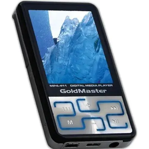 GOLDMASTER MP4-411 2 GB, DAHİLİ HAFIZA