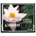 KINGSTON 1 GB COMPACT FLASH HAFIZA KARTI