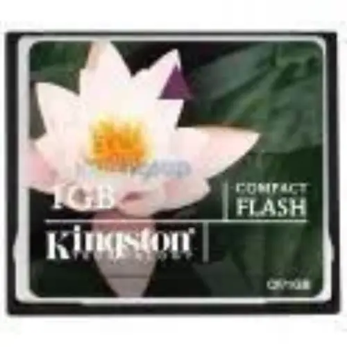 KINGSTON 1 GB COMPACT FLASH HAFIZA KARTI