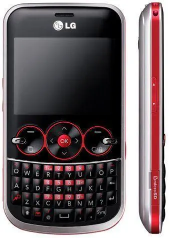 LG GW300