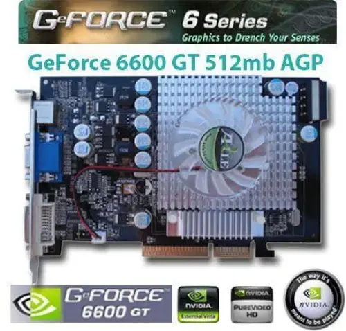 AXLE 6600GT(128Bit) 256MB DDR AGP 8x