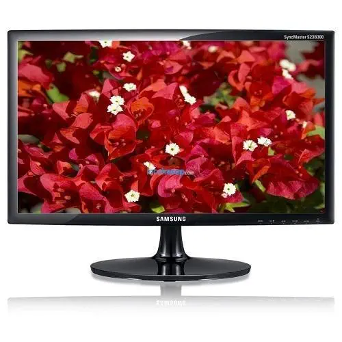Samsung S19B300N 18.5 inch Led Monitör
