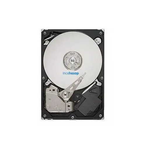 SEAGATE 500 GB 5900 RPM 16MB NCQ SATA2 SABİT DİSK (ST3500412AS)